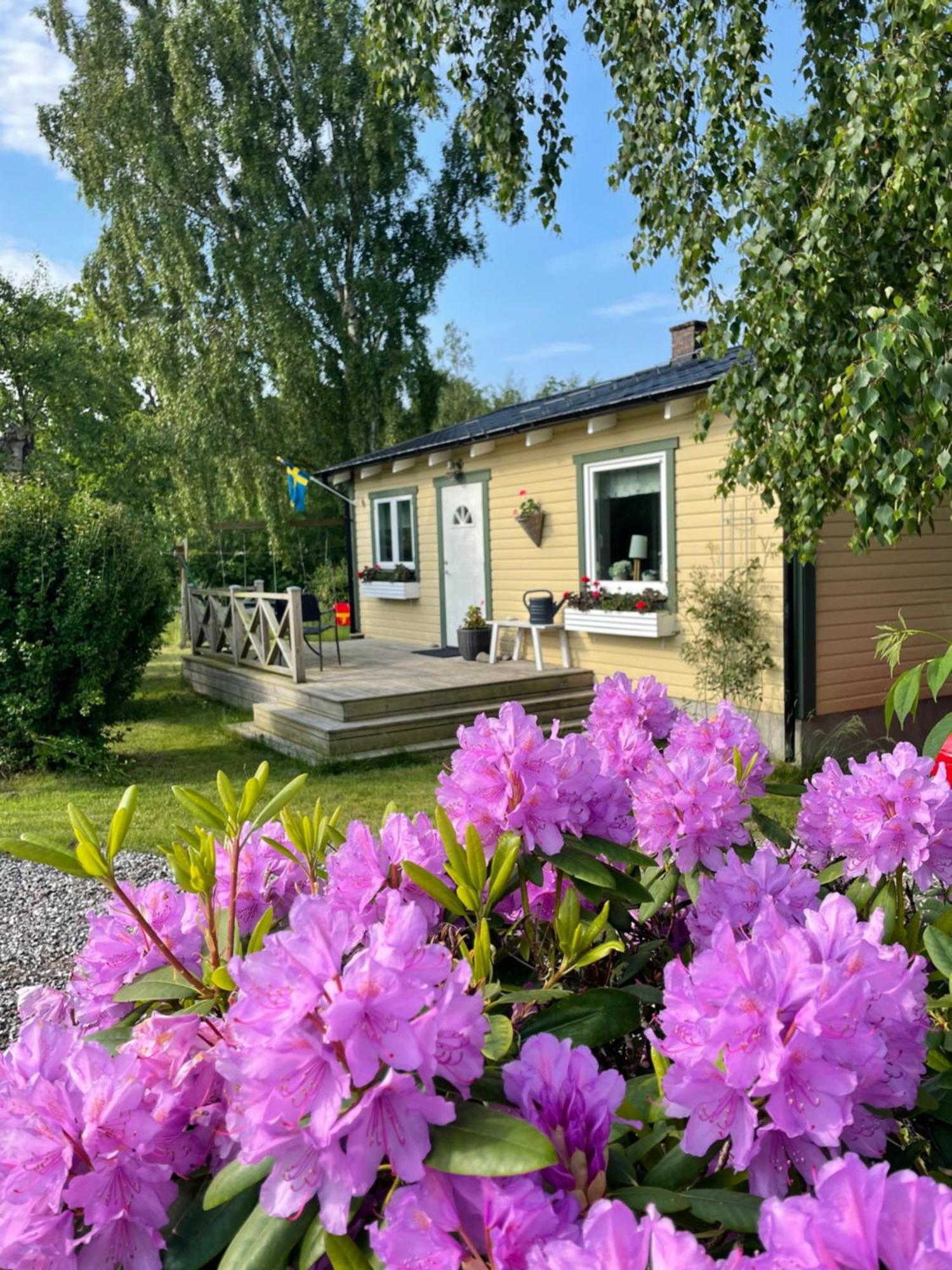 Nice Child-Friendly House 200M From Beautiful Beach, Farhult Exterior photo